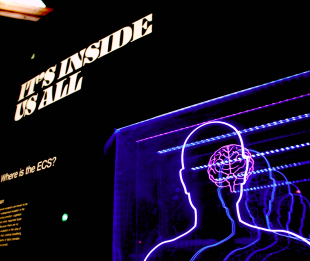 Как эмоции определяют наше решение о покупке