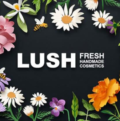 Lush уходит от Цукерберга