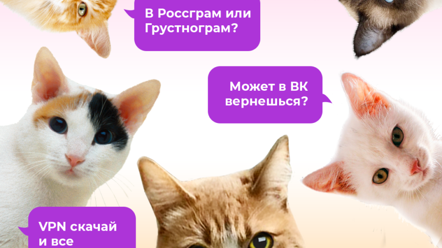 Куда россиянам постить котиков после блокировки зарубежных соцсетей?