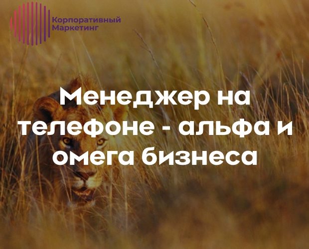 Менеджер на телефоне — альфа и омега бизнеса