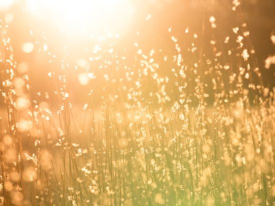 Бесплатный и не для всех очевидный способ привлечь клиентов