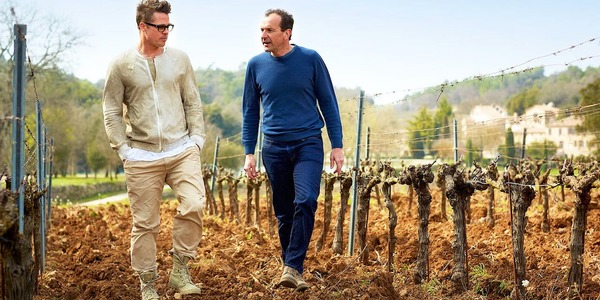 Анджелина Джоли отравила Брэду Питту розе: миллиардер Юрий Шефлер нацелился на французское имение актера