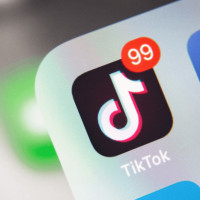 Как&nbsp;сделать успешный TikTok, Reels, Shorts? Различия и&nbsp;тренды