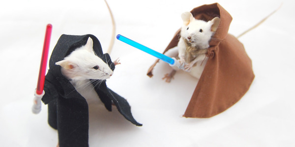 Против Disney даже мыши: с чем встречает 100-летие крупнейшая медиакорпорация мира