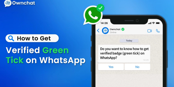What is Whatsapp Green Tick Verification?