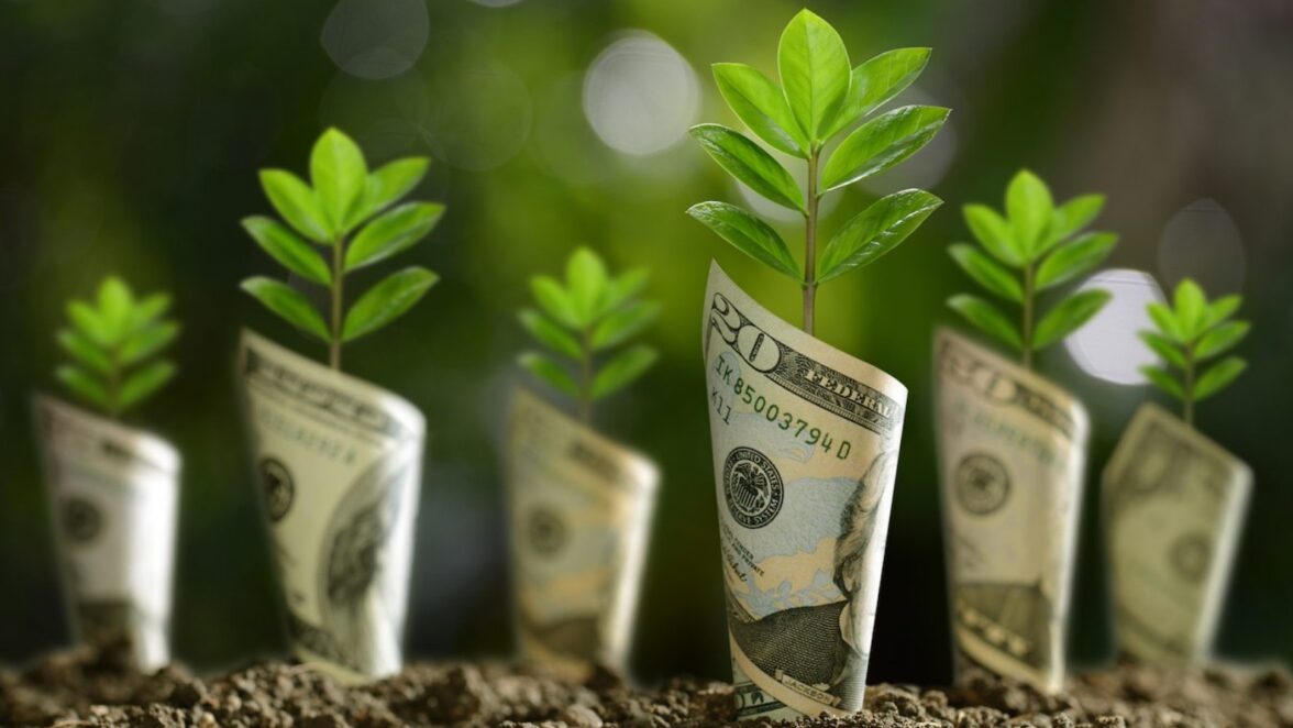 стартап проект - фото