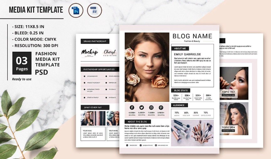 медиакит - фото