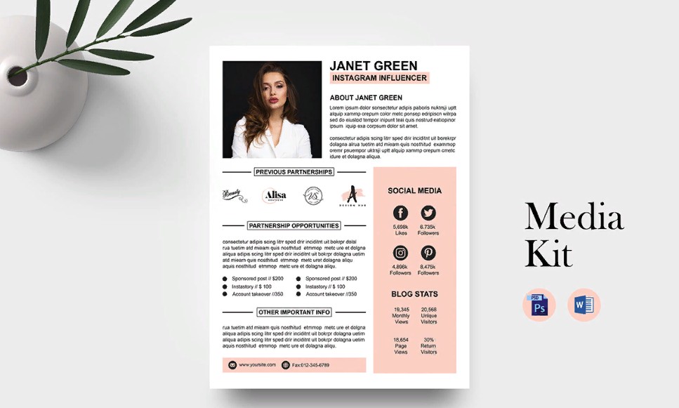 медиа кит пример - фото