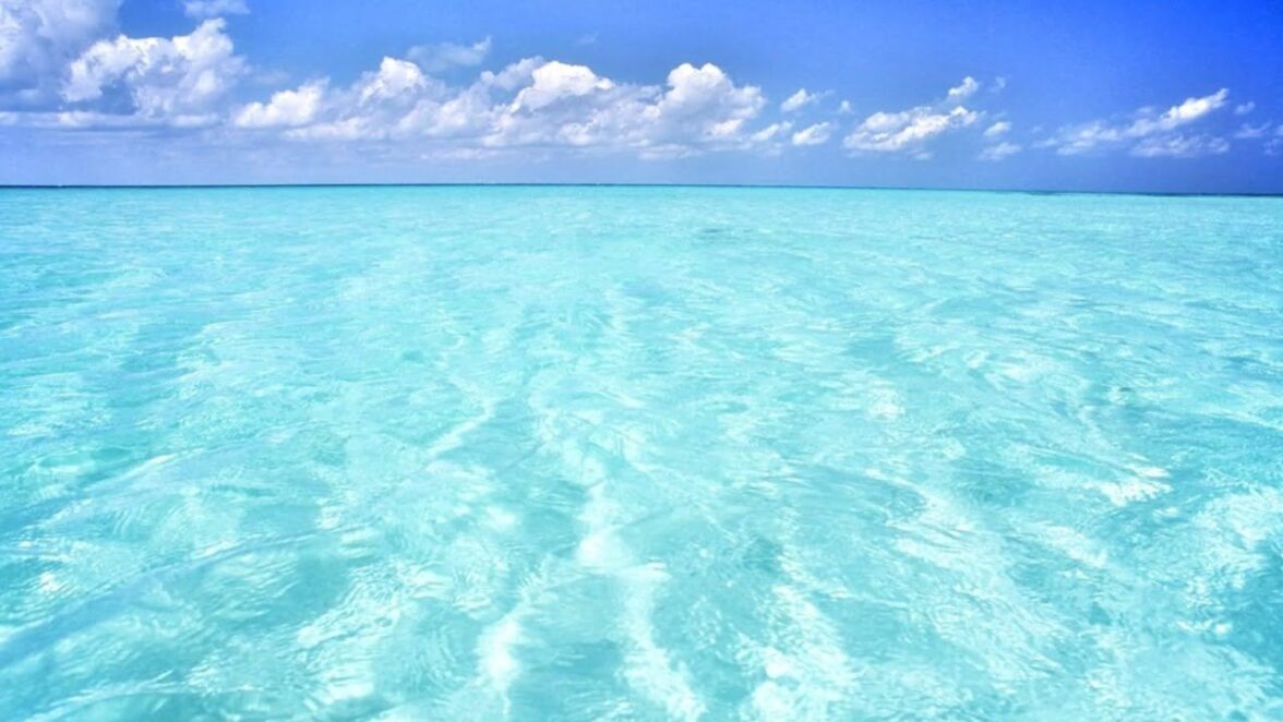 asmr что это такое - фото