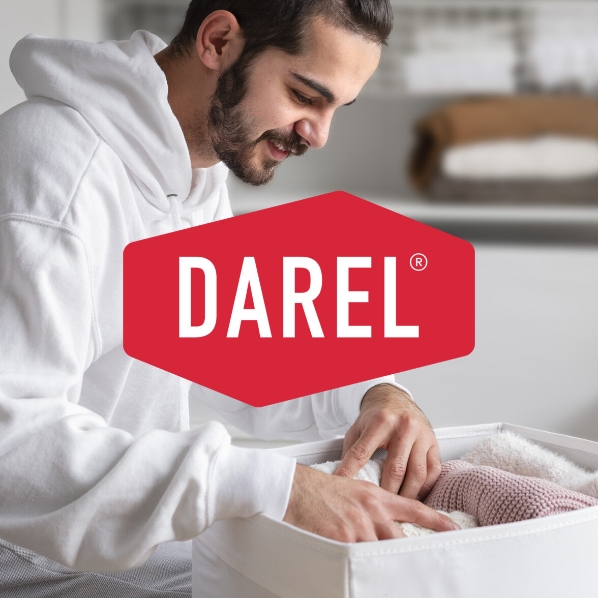 все кошки дураки. кот на кухне. коты дураки. заходи будь как дома. заходи будь как дома.