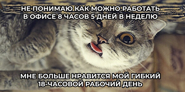 Фриланс&nbsp;— это свобода или&nbsp;каторга?