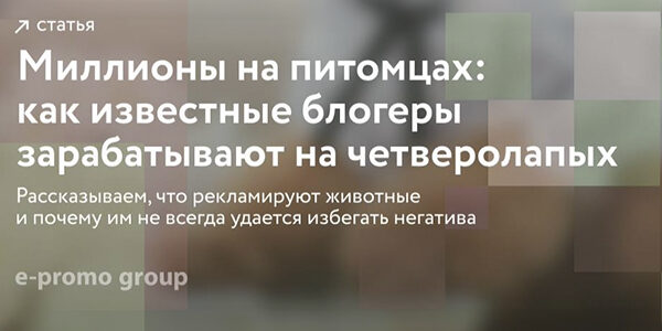 Миллионы на&nbsp;питомцах: как&nbsp;зарабатывают известные блогеры