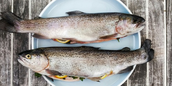 Рыба на&nbsp;столе: как&nbsp;россияне ищут разнообразие в&nbsp;2024&nbsp;году