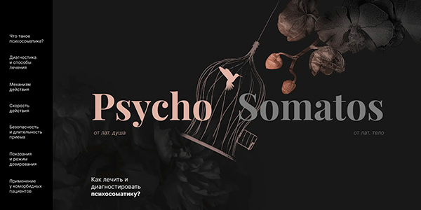 Кейс: разработка сайта о&nbsp;препарате для&nbsp;лечения психических и&nbsp;психосоматических расстройств