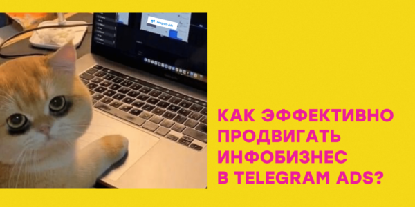 Как&nbsp;эффективно продвигать инфобизнес в&nbsp;Telegram Ads? | Кейсы