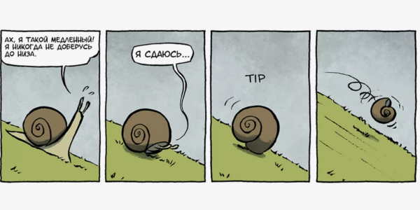 Привели 906&nbsp;лидов с&nbsp;помощью SEO за&nbsp;2&nbsp;года