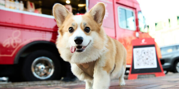 Кейс «Julius&nbsp;Meinl» и&nbsp;Hate Agency: как&nbsp;повысить качество офисного кофе