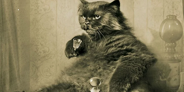 МАУ-пиар для&nbsp;рекламного агентства