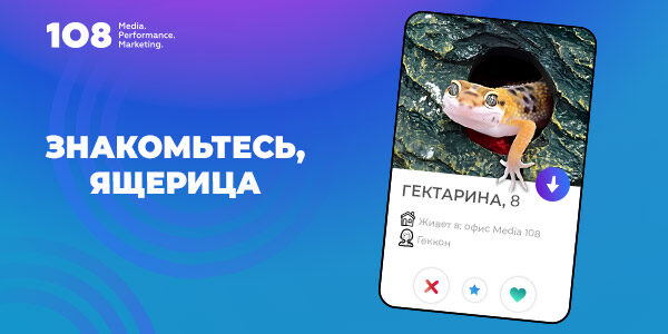 Как&nbsp;на&nbsp;работу в&nbsp;Мedia 108&nbsp;устроился четвероногий сотрудник