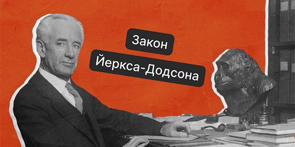 Закон Йеркса-Додсона: почему небольшой стресс повышает продуктивность