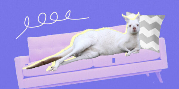 Лень VS Прокрастинация: почему мы откладываем дела на&nbsp;самом деле