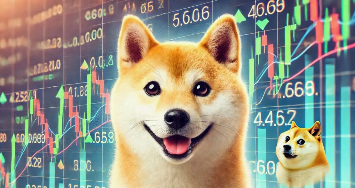 Риски мемкоина - фото