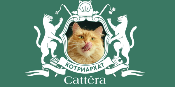 Выбор Его Котейшества: Contrapunto и&nbsp;Cattera показали, чего хотят котики