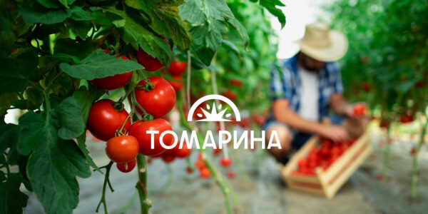 «Томарина»: айдентика, выращенная из&nbsp;технологий