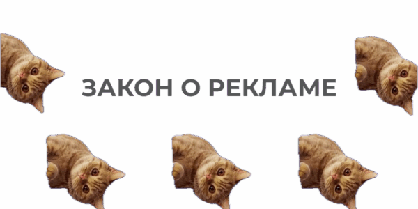 Все о&nbsp;персональных данных: как&nbsp;собирать, обрабатывать и&nbsp;хранить