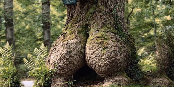 Все напоминает мне о&nbsp;тебе, колоноскопия