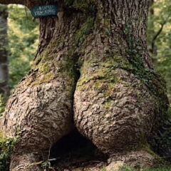 Все напоминает мне о&nbsp;тебе, колоноскопия