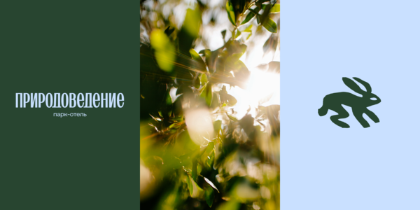 У меня возле домика гуляет заяц: как REDKEDS сделали брендинг для парк-отеля в Волгоградской области