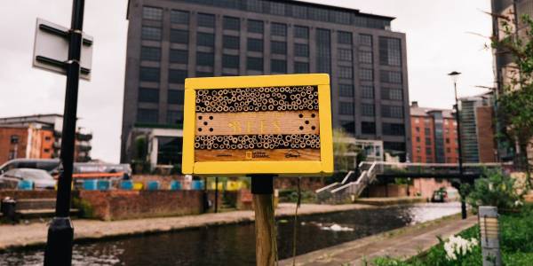 National Geographic превратил наружную рекламу в отели для пчел