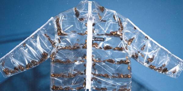 New York Knicks выпустила пуховик с живыми тараканами