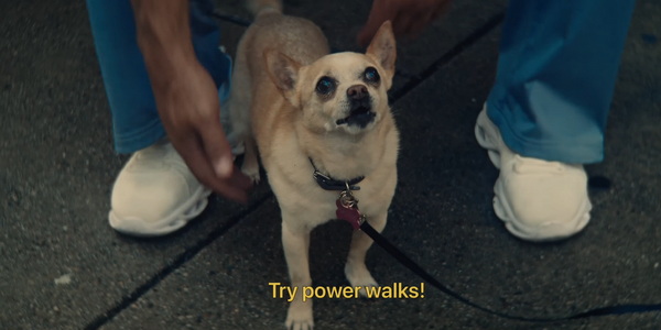 Apple Watch предложили слушать себя, а&nbsp;не&nbsp;фитнес-советы из&nbsp;интернета