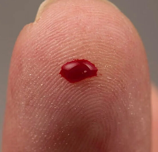 Новозеландские креативщики поклялись на крови в приверженности идеям, созданным людьми