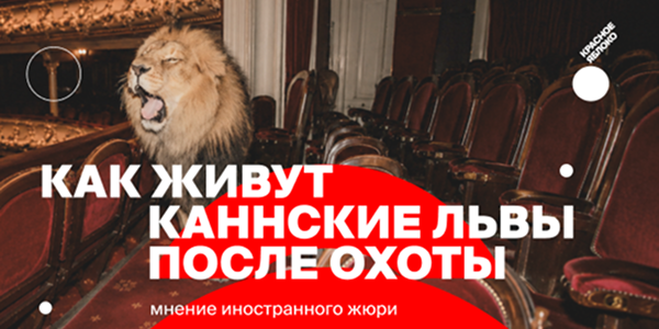 Как&nbsp;живут Каннские львы после охоты