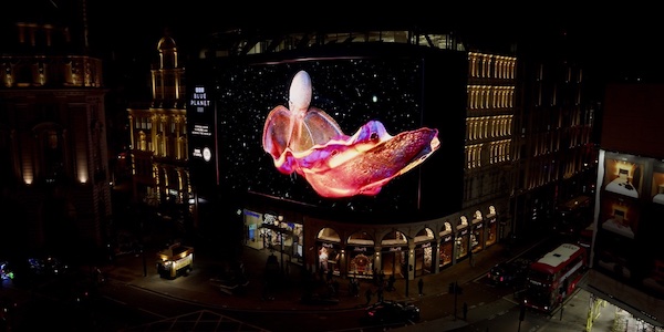 Трейлер «Голубой планеты III» показали на Piccadilly Lights